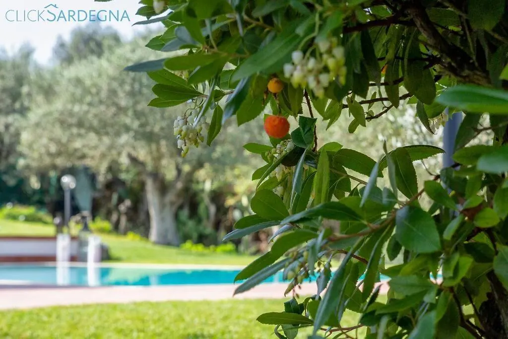 Clicksardegna Villa Angelica Con Piscina E Giardino Alghero Italy