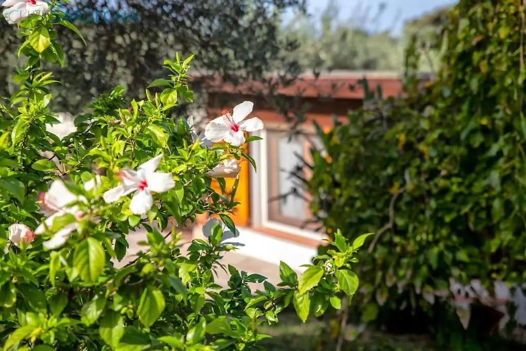 Clicksardegna Villa Angelica Con Piscina E Giardino location
